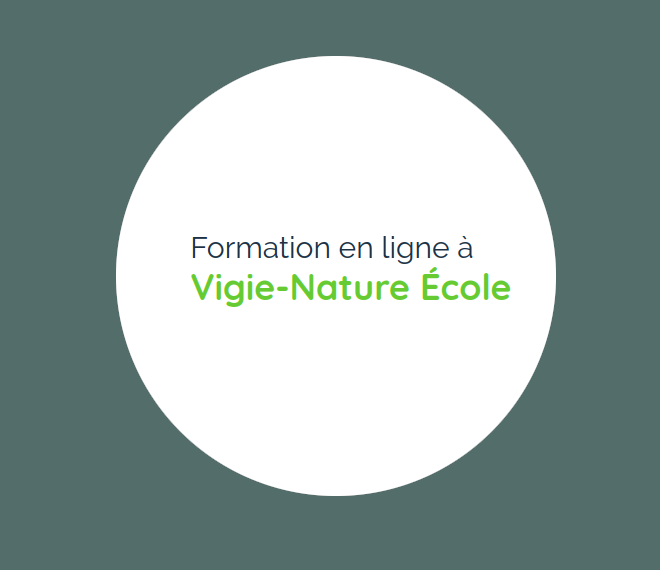 Formations VNE